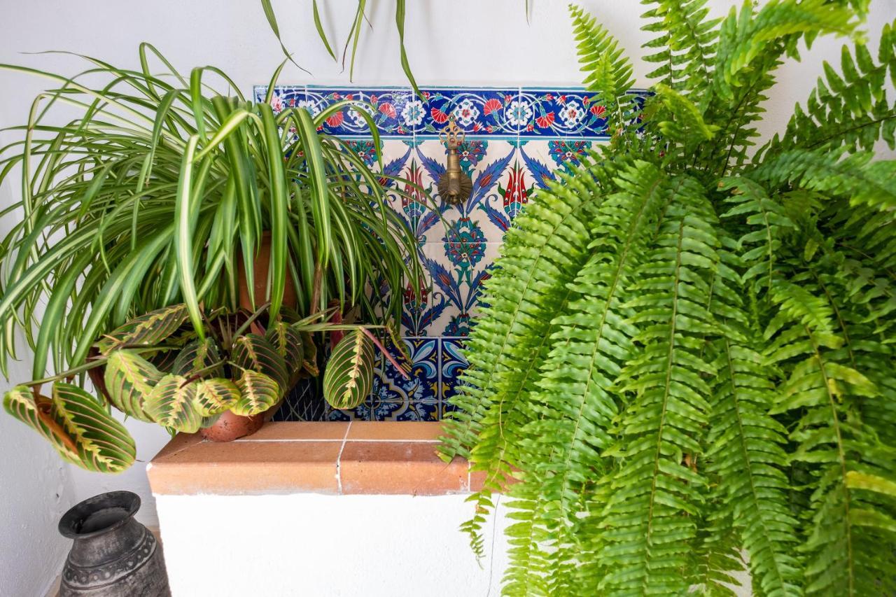La Casa Del Agua Villa Vejer de la Frontera Luaran gambar